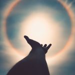 Hand reaching out to the sky, symbolizing spirituality and spiritual well-being