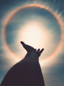 Hand reaching out to the sky, symbolizing spirituality and spiritual well-being