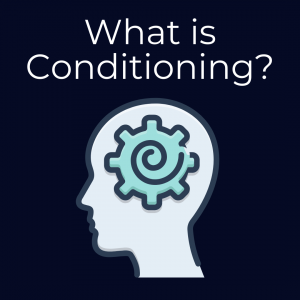 What is Conditioning?